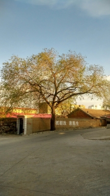 赤峰林東打井電話多少號-第1張圖片