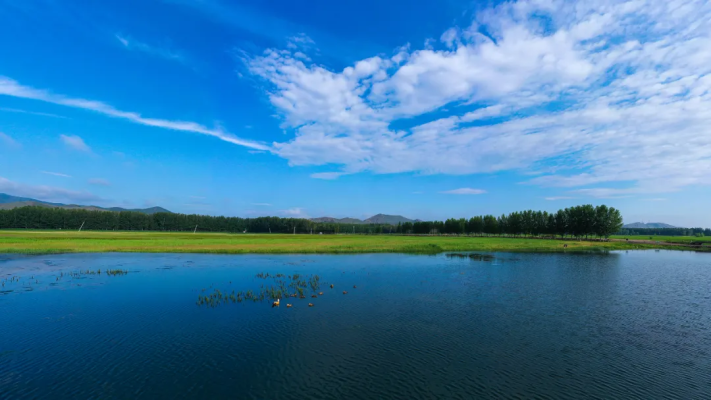 赤峰林西紋身店地址電話號(hào)碼-第1張圖片