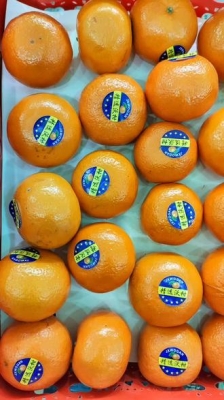 赤峰同城熱門餐飲店電話號(hào)碼-第1張圖片