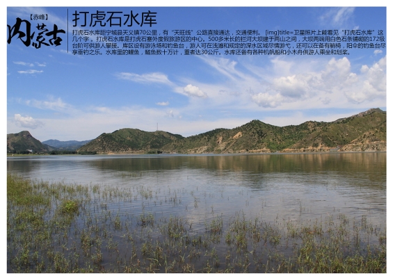 赤峰泳池躺椅批發(fā)電話地址查詢-第1張圖片