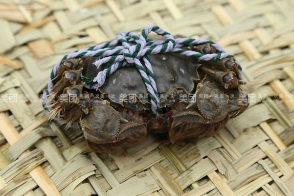 赤峰水產(chǎn)團(tuán)購電話號碼查詢-第1張圖片