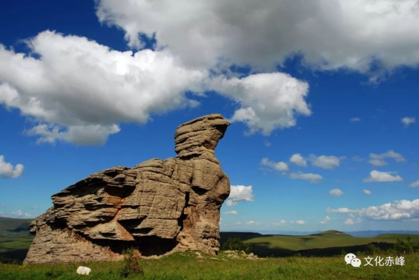 赤峰負(fù)離子直銷店電話號(hào)碼-第1張圖片