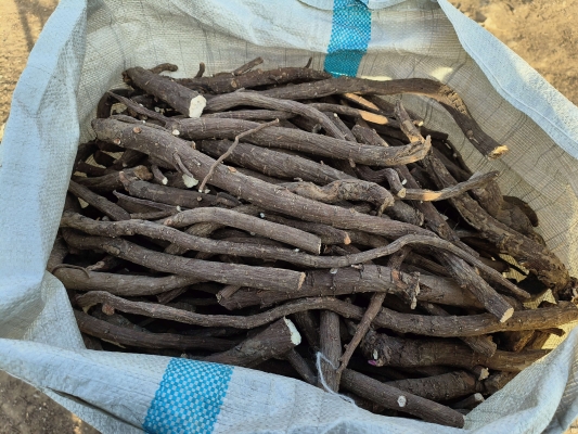 赤峰冷凍品丸子批發(fā)電話(huà)號(hào)碼-第1張圖片