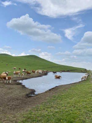 赤峰到成德的汽車電話號碼-第1張圖片