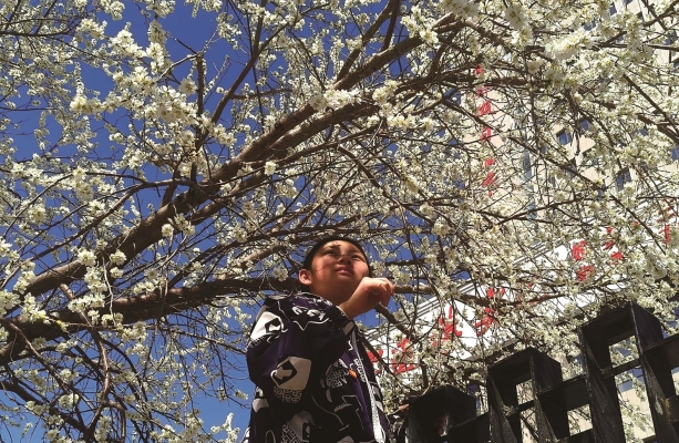 赤峰春光酒店電話多少號碼-第1張圖片