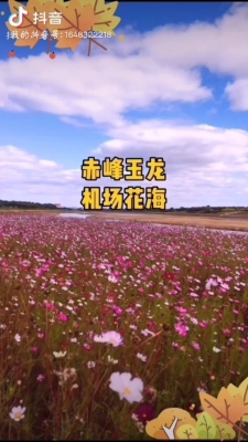 赤峰新機(jī)場(chǎng)酒店推薦電話是多少-第1張圖片