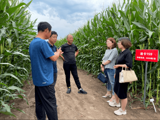 赤峰到通遼拼車電話-第1張圖片
