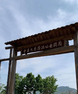 赤峰敖漢櫻桃采摘園電話(huà)號(hào)-第1張圖片