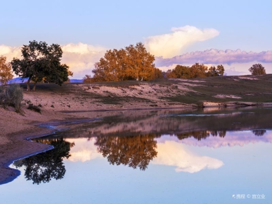 赤峰語(yǔ)音廳公會(huì)電話號(hào)碼查詢-第1張圖片