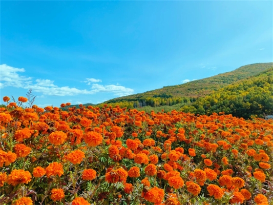 赤峰達行汽修廠電話號碼-第1張圖片