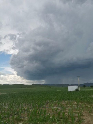 赤峰市奧迪康藥店電話號碼-第1張圖片