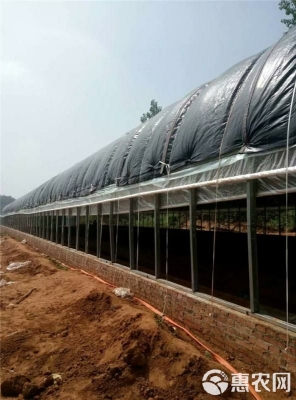 赤峰養(yǎng)雞大棚廠商電話號碼查詢-第1張圖片