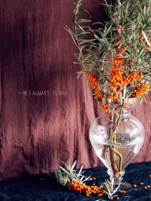 赤峰花店文竹店電話(huà)多少號(hào)-第1張圖片