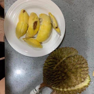 赤峰橋北榴蓮店電話地址查詢-第1張圖片