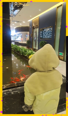 赤峰市蒙古菜館地址電話號碼-第1張圖片