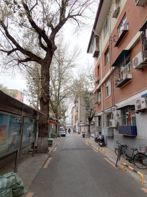 赤峰老侯牛骨頭館電話號碼-第1張圖片