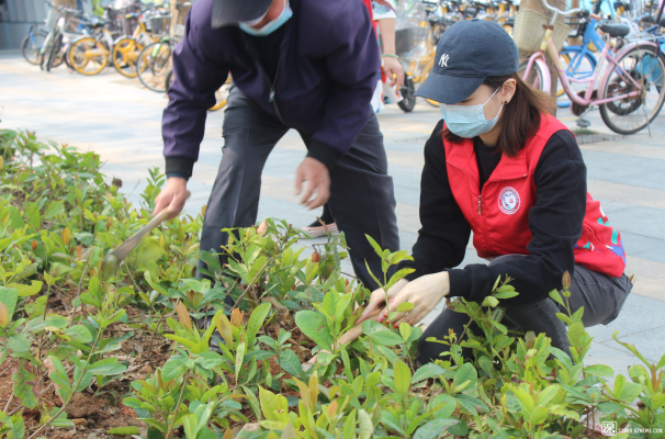 赤峰義務(wù)植樹點(diǎn)電話號(hào)碼查詢-第1張圖片