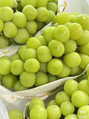 赤峰同城賣(mài)葡萄電話多少號(hào)-第1張圖片