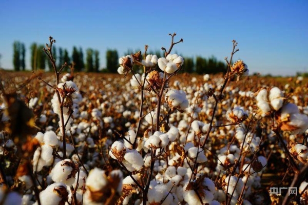 赤峰市王永軍簡歷-第1張圖片