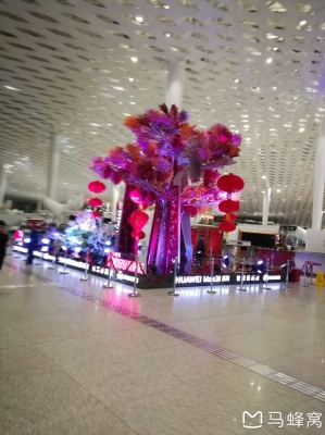 赤峰到深圳旅游團電話號碼-第1張圖片