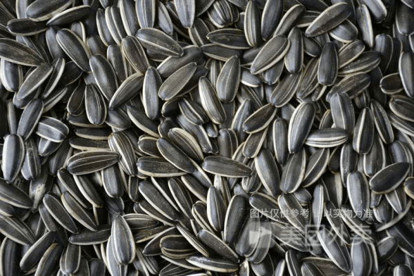 赤峰趙老漢瓜子店地址電話號碼-第1張圖片