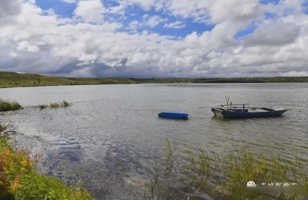 赤峰珍珠回收電話地址是多少號(hào)-第1張圖片