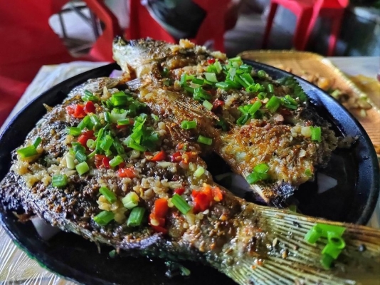 赤峰燒烤研究所地址電話(huà)號(hào)碼-第1張圖片