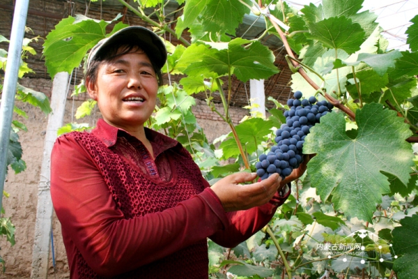 赤峰山邊土菜館電話號碼多少-第1張圖片