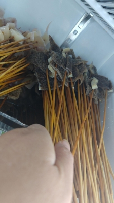 赤峰 老式麻辣燙店電話號碼-第1張圖片