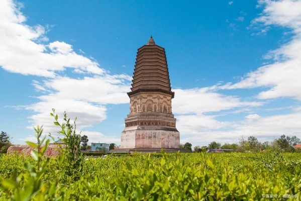 赤峰寧城收菜電話號碼多少-第1張圖片