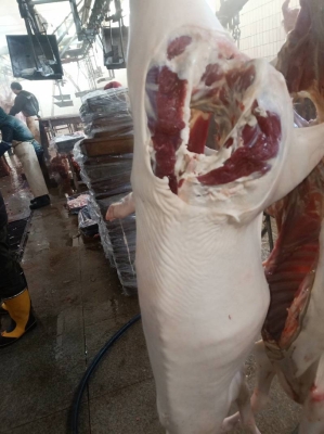 赤峰鮮羊批發(fā)電話地址查詢-第1張圖片