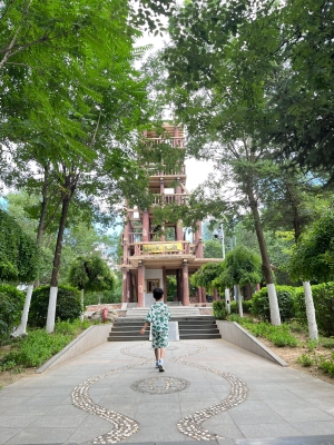 赤峰植物園駕校電話地址查詢-第1張圖片