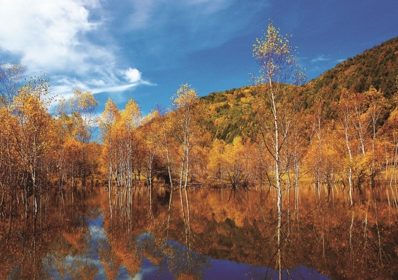 赤峰雨錫工廠直發(fā)電話號碼-第1張圖片