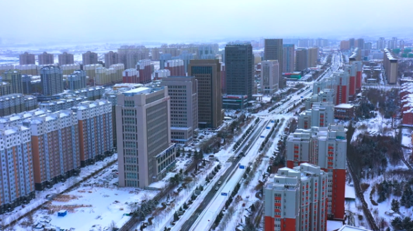 赤峰鵝毛收購電話號碼多少號-第1張圖片