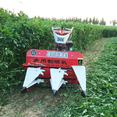 赤峰賣秸稈電話號(hào)碼多少號(hào)-第1張圖片