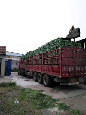 赤峰市滲碳廠家電話號(hào)碼-第1張圖片