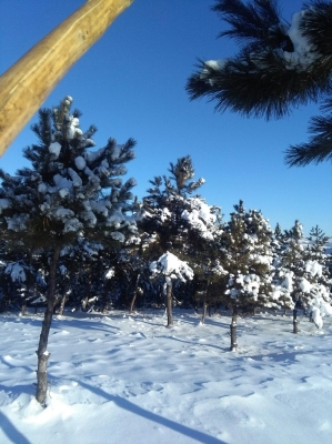 赤峰寧城集裝箱廠電話號碼-第1張圖片