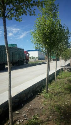 赤峰電腦置換店電話號碼查詢-第1張圖片