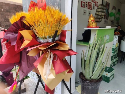 赤峰蘆薈加盟電話多少啊-第1張圖片