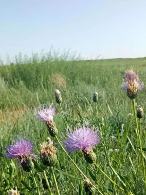 赤峰市遠征物流老總電話號碼-第1張圖片
