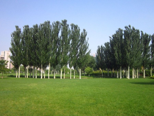 赤峰民俗休閑會(huì)所電話多少號(hào)-第1張圖片