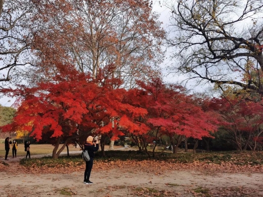 赤峰楓北動(dòng)物園電話號(hào)碼-第1張圖片