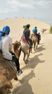赤峰市大漠明珠酒店電話號碼-第1張圖片