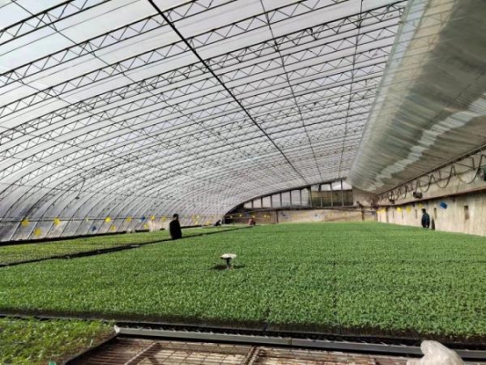 赤峰新希望賣房電話多少號(hào)-第1張圖片