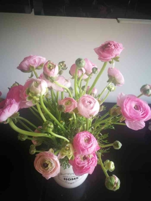 赤峰路附近花店電話號(hào)碼多少-第1張圖片