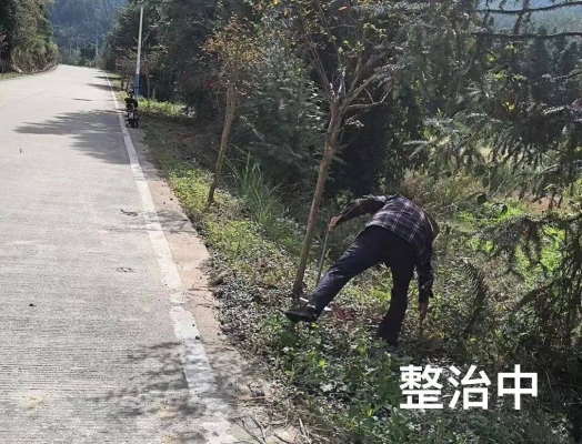 大禾珠寶赤峰店電話多少號-第1張圖片