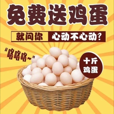 赤峰糧食運(yùn)輸隊(duì)招聘電話號(hào)碼-第1張圖片