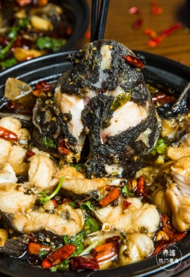 赤峰飼料魚買賣網(wǎng)站電話號碼-第1張圖片