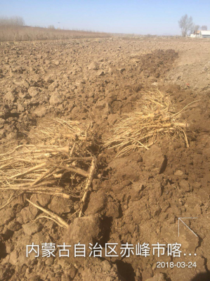 赤峰防蟲網批發(fā)電話號碼-第1張圖片