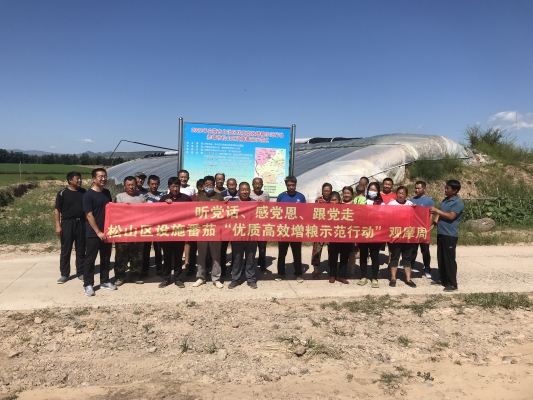 赤峰西紅柿 批發(fā)市場電話號碼-第1張圖片